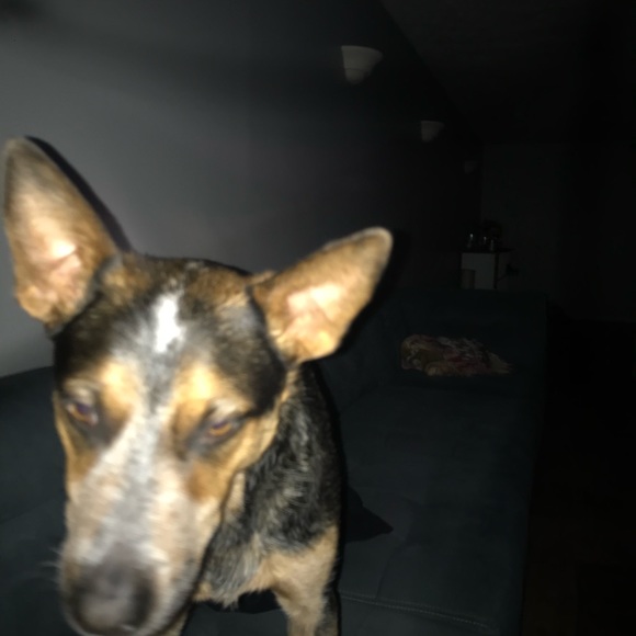 Meet your Posher, Harry - Picture 6 of 12